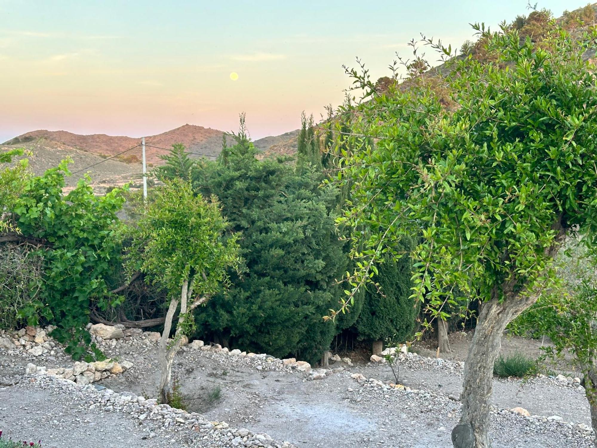 Finca Ocha - Calblanque Los Belones Esterno foto