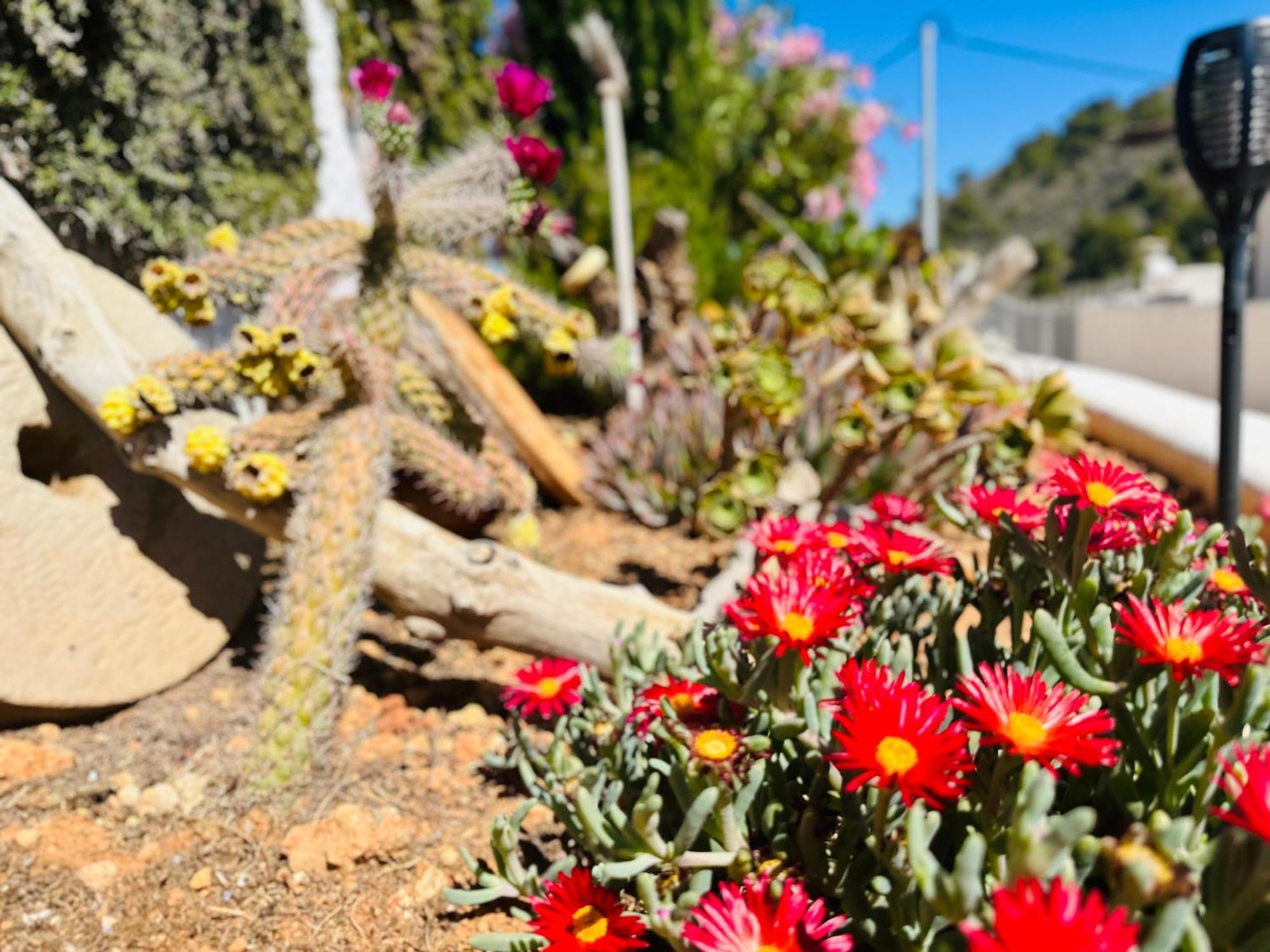 Finca Ocha - Calblanque Los Belones Esterno foto