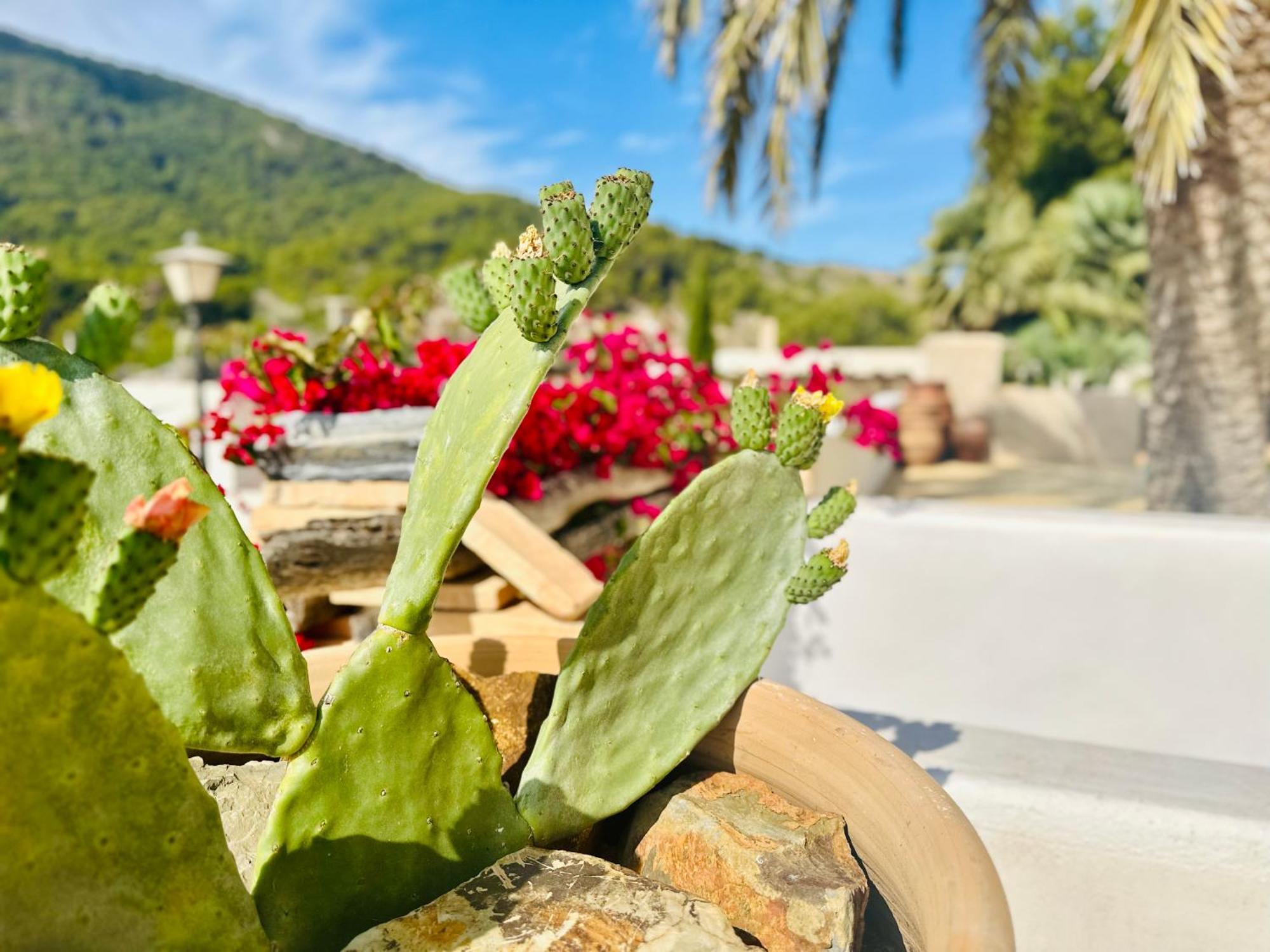 Finca Ocha - Calblanque Los Belones Esterno foto