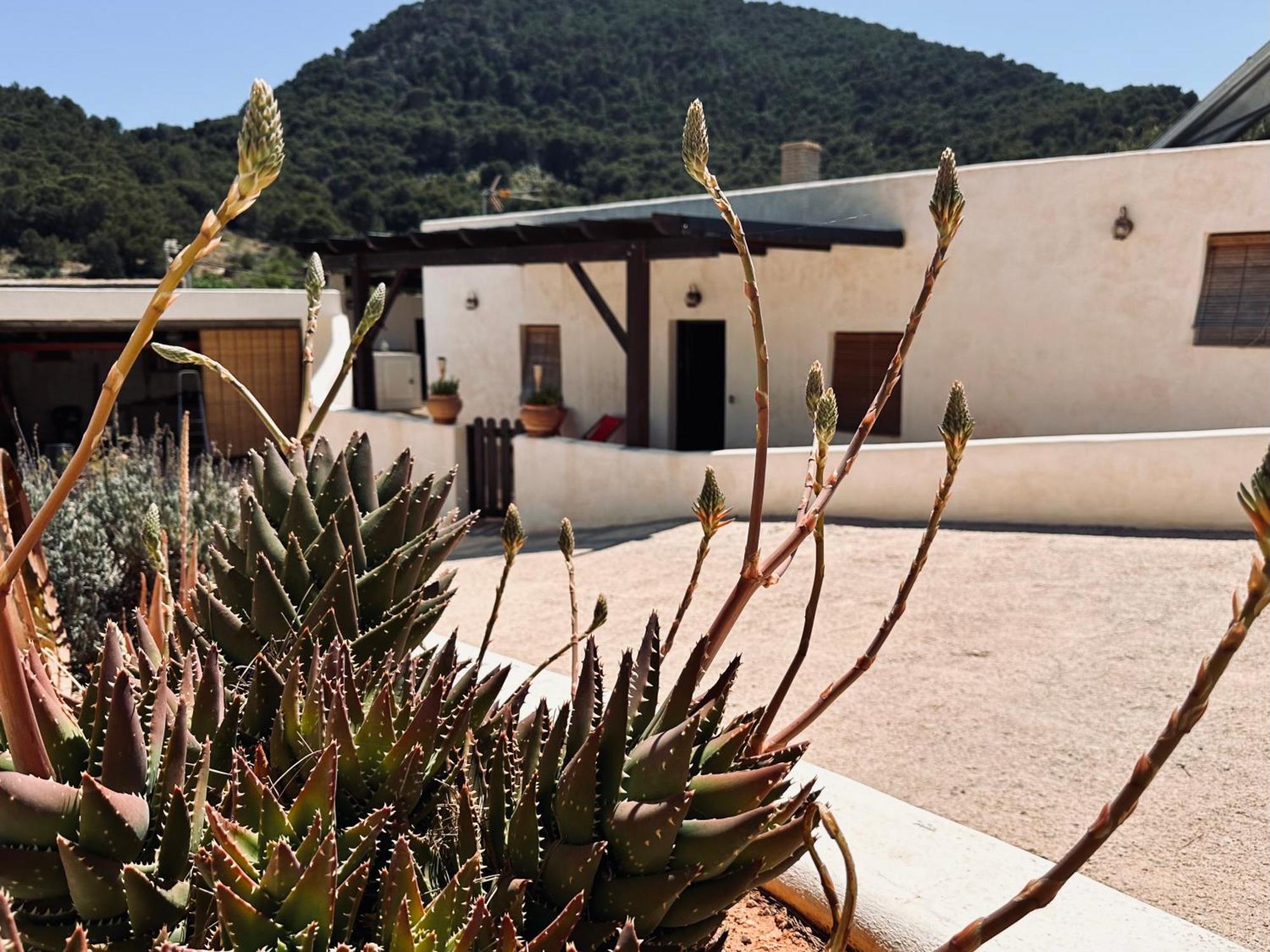 Finca Ocha - Calblanque Los Belones Esterno foto